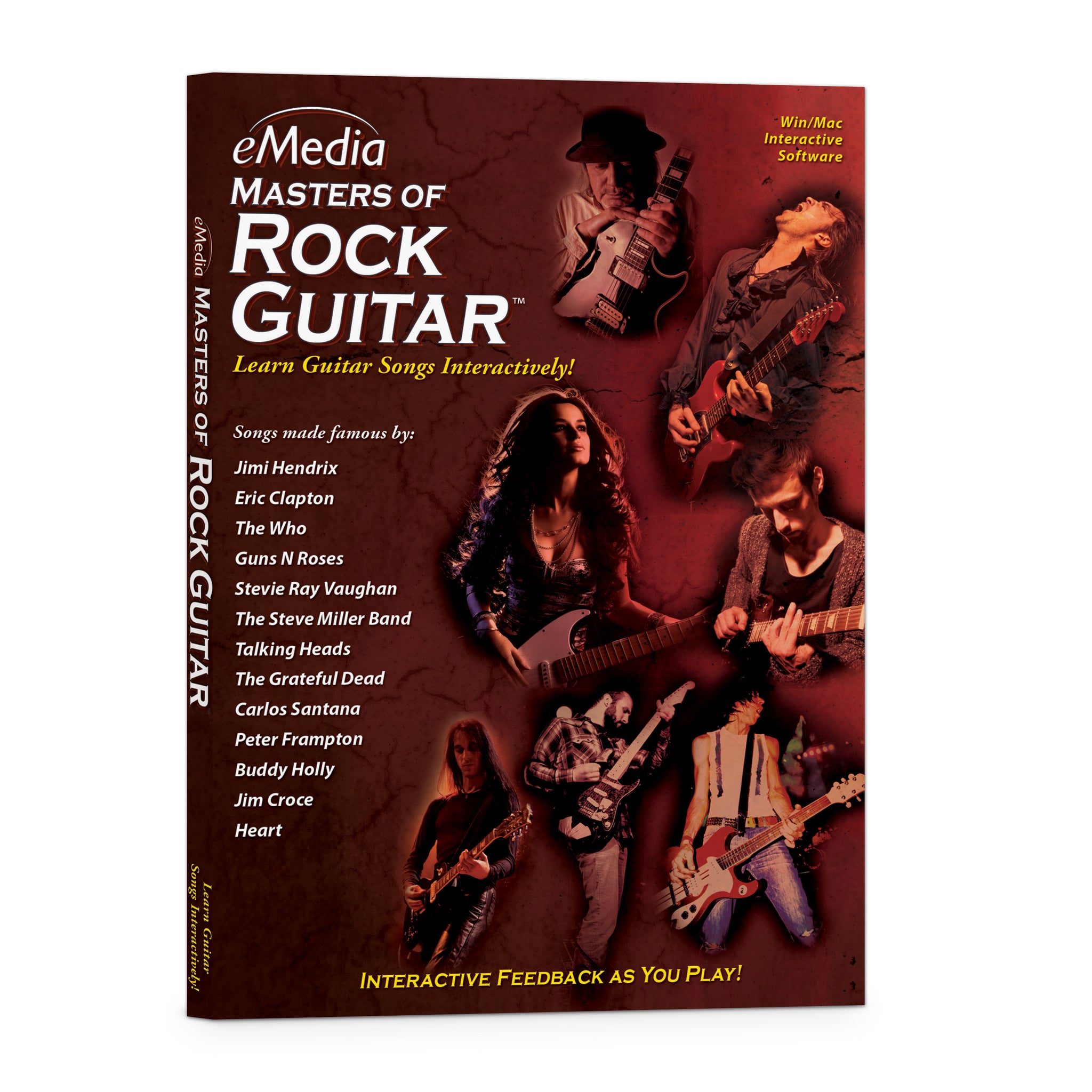 eMedia Masters of Rock Guitar
